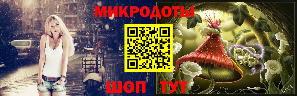 Псилоцибиновые грибы GOLDEN TEACHER Чапаевск