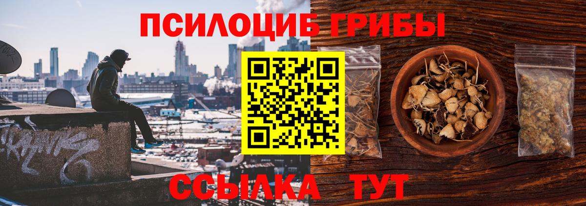 Псилоцибиновые грибы Psilocybine cubensis  Чапаевск 