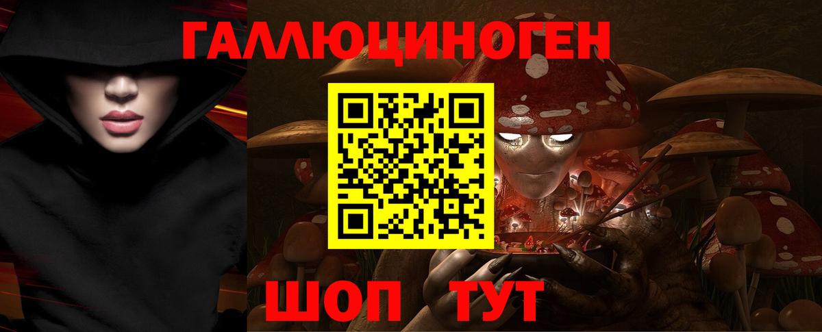 Чапаевск  Галлюциногенные грибы Cubensis  Вход с VPN 